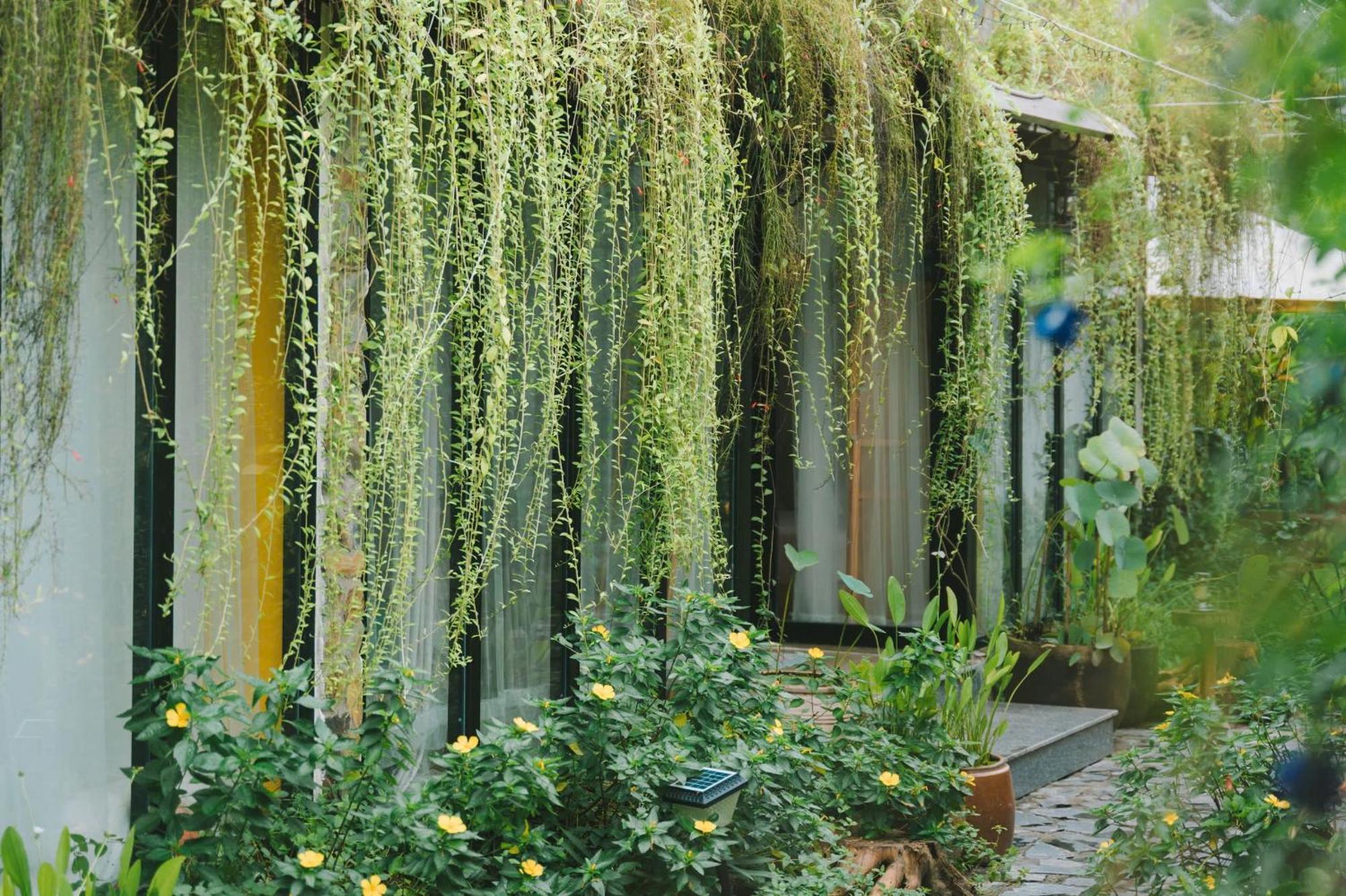 Ben Do Xua Homestay & Coffee Cai Rang Exterior photo