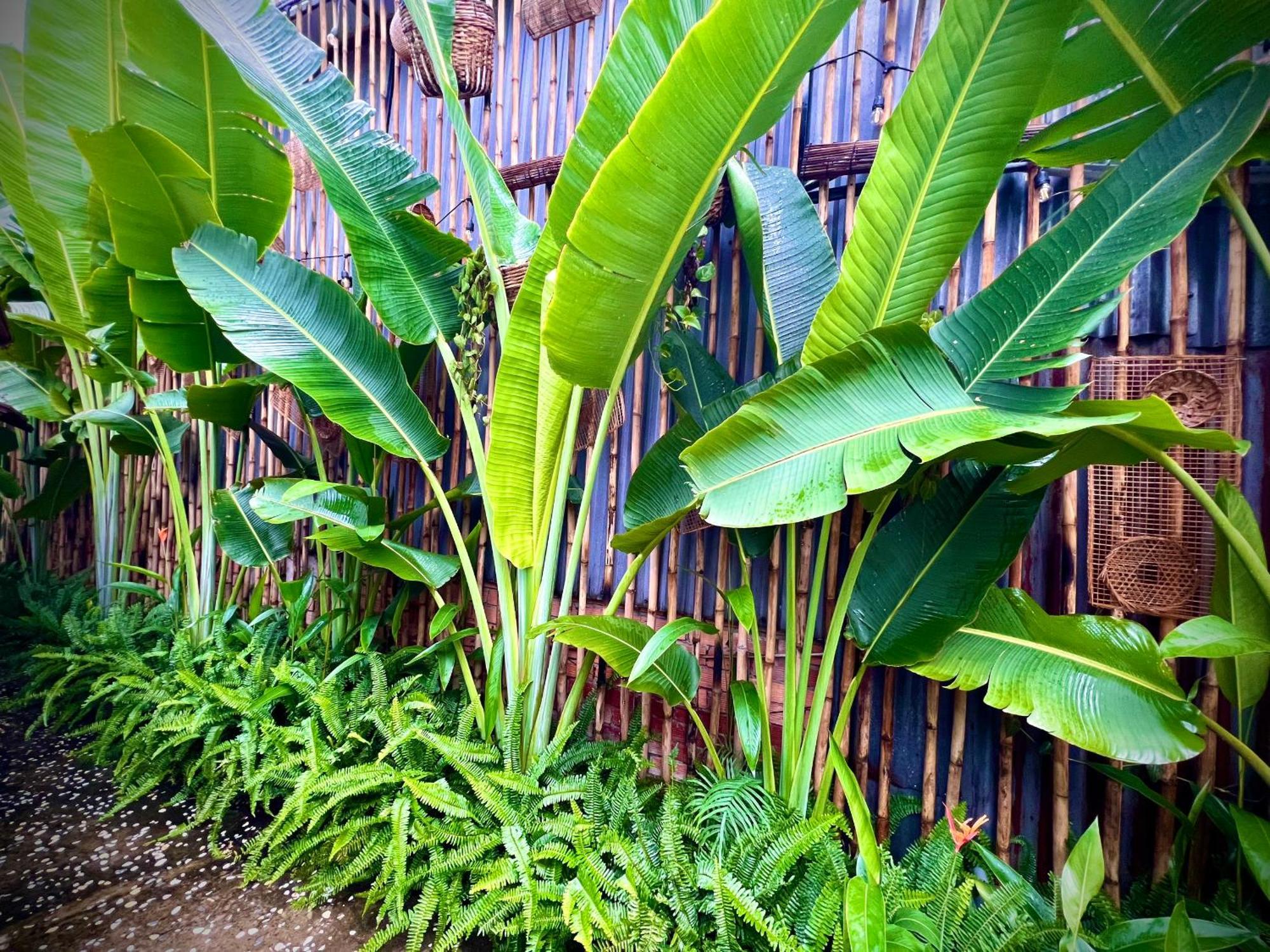 Ben Do Xua Homestay & Coffee Cai Rang Exterior photo