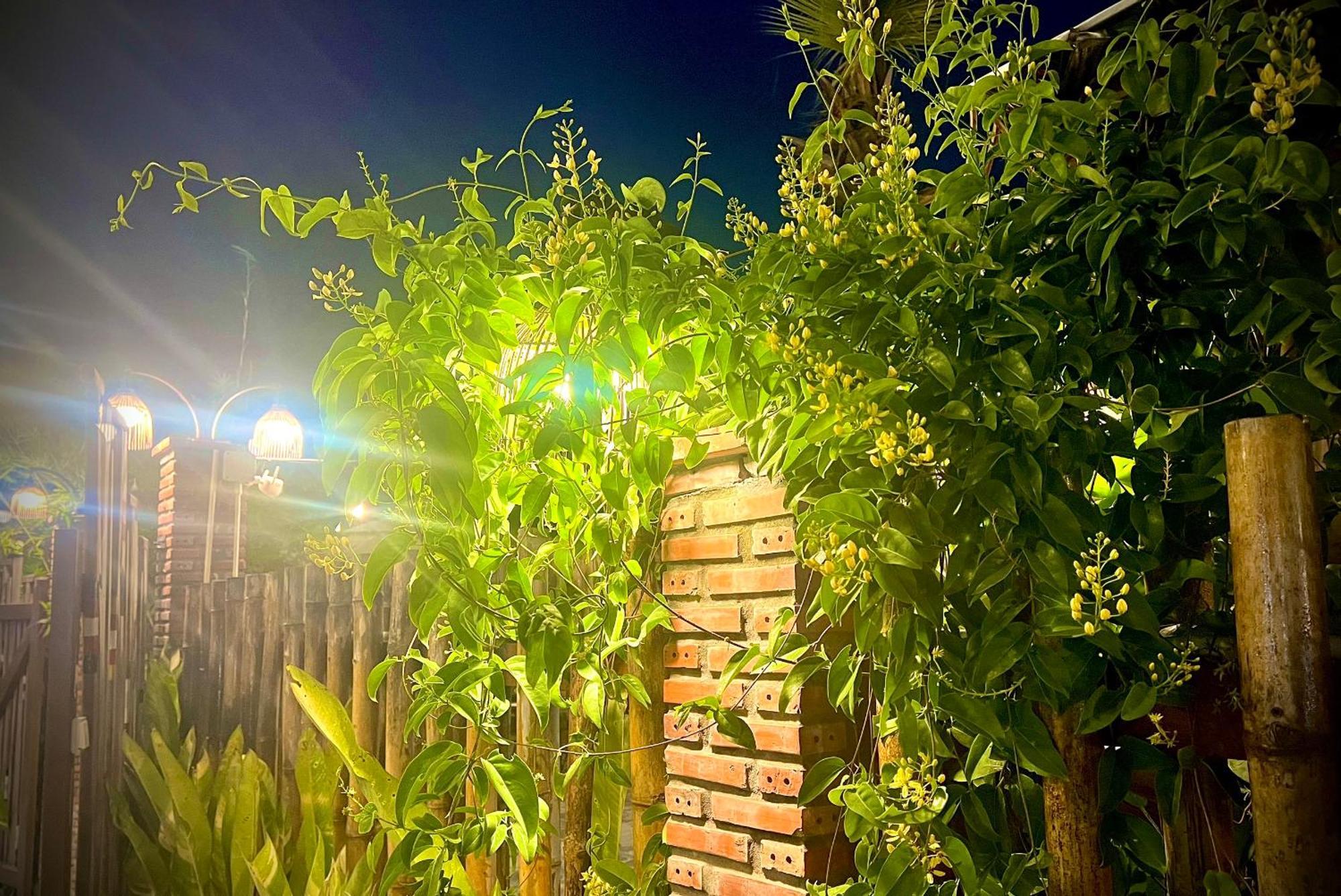 Ben Do Xua Homestay & Coffee Cai Rang Exterior photo