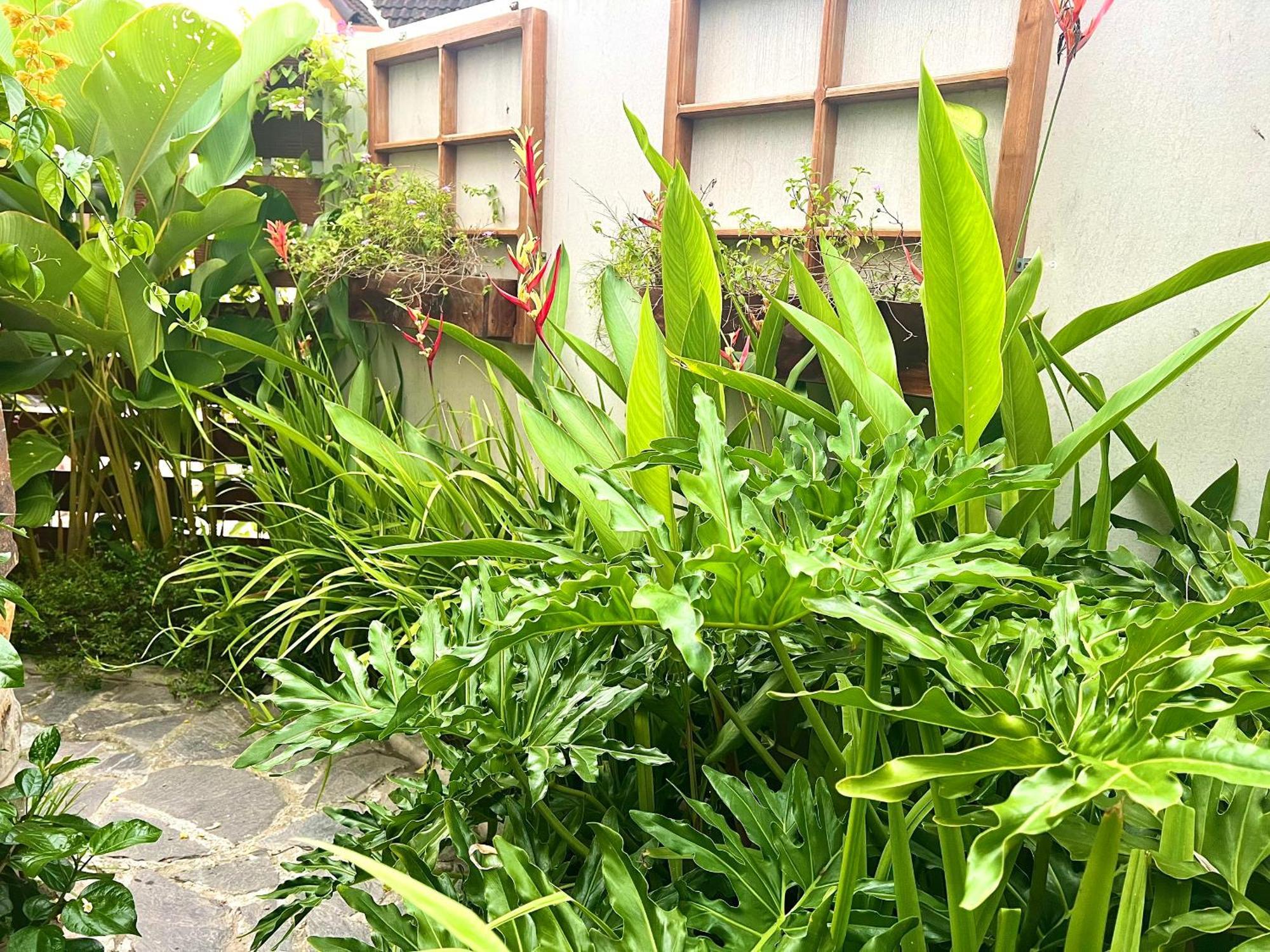 Ben Do Xua Homestay & Coffee Cai Rang Exterior photo